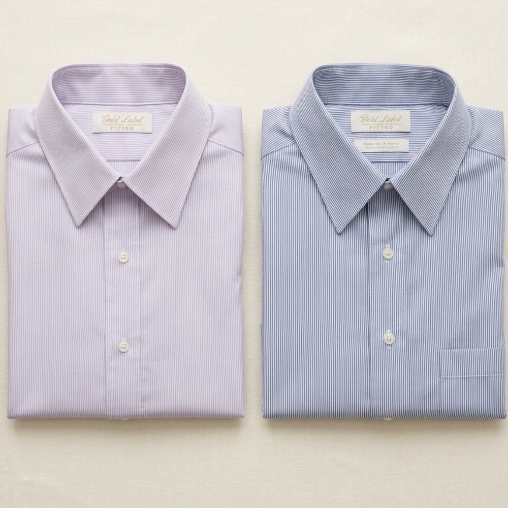 Lot of 2 Roundtree & Yorke Gold Label Fitted Dress Shirts 16/34 Blue Lavender